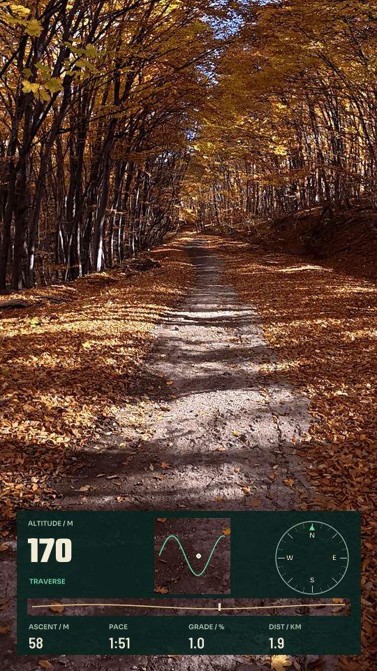 Trail Traverse, 9:16 layout preview