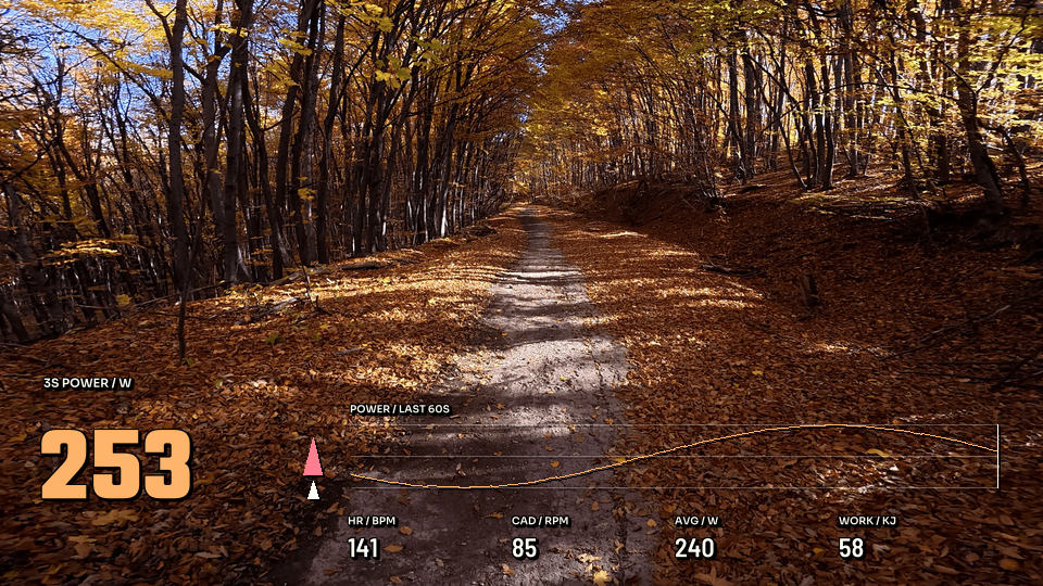 Training Ignition, 16:9 layout preview
