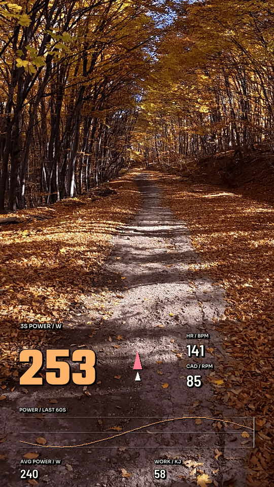Training Ignition, 9:16 layout preview