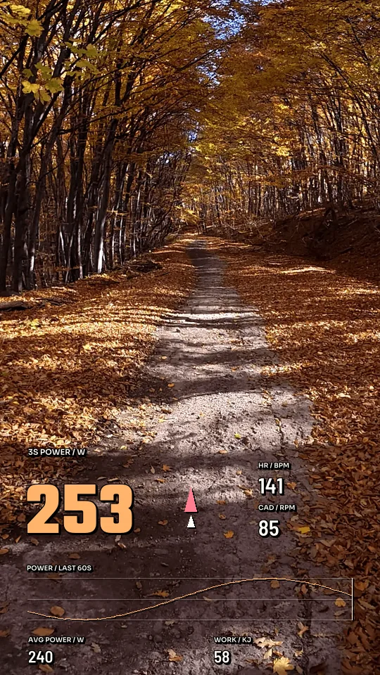 Training Ignition, 9:16 layout preview
