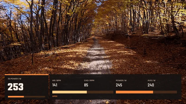 Training Apex, 16:9 layout preview