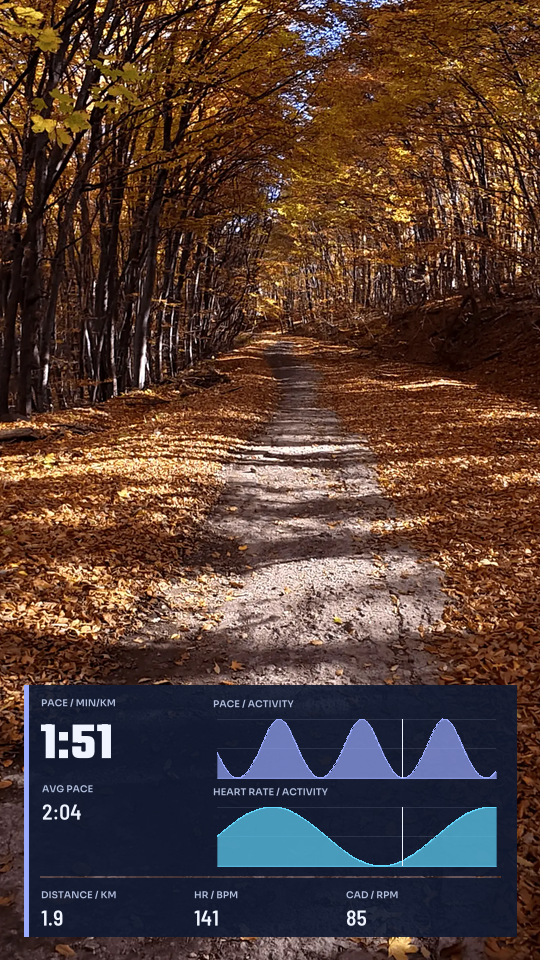 Trace, 9:16 layout preview