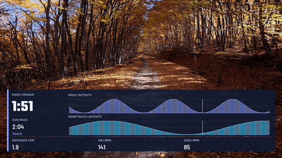 Trace, 16:9 layout preview