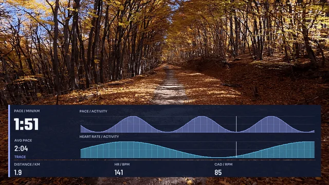 Trace, 16:9 layout preview