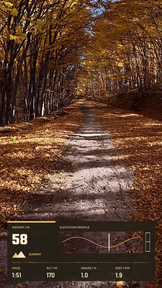 Trail Summit, 9:16 layout preview