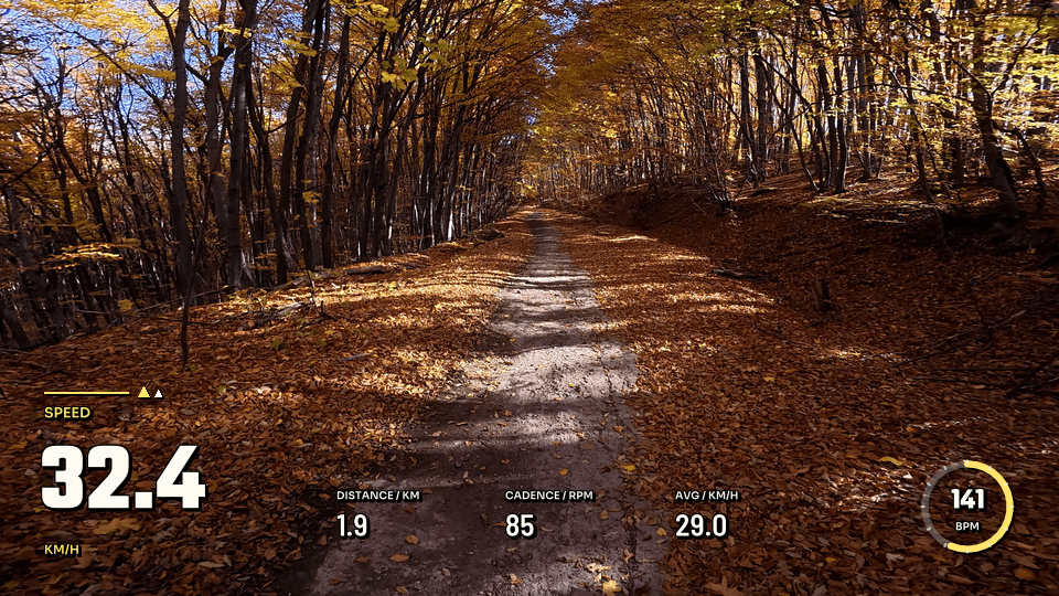 Cycling Slipstream, 16:9 layout preview