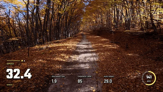 Cycling Slipstream, 16:9 layout preview