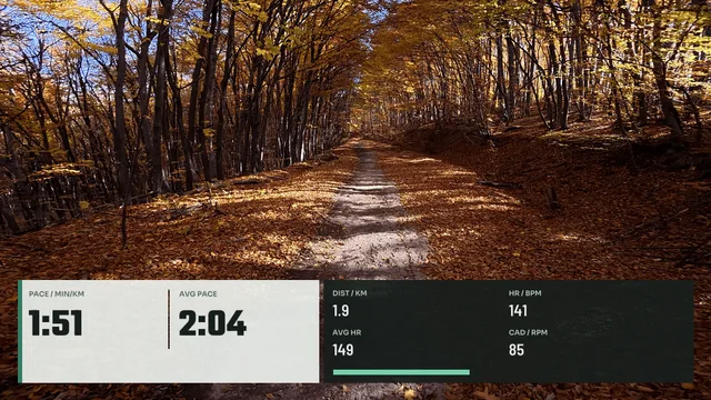Stride, 16:9 layout preview