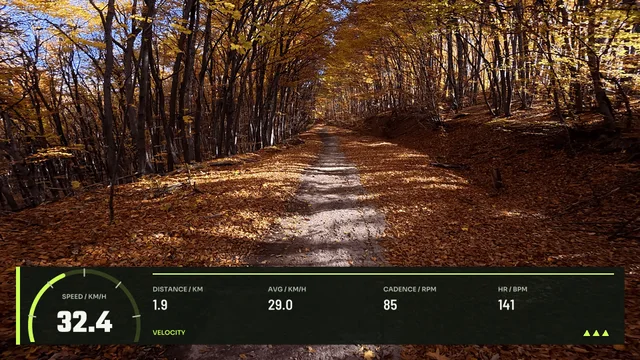 Cycling Velocity, 16:9 layout preview
