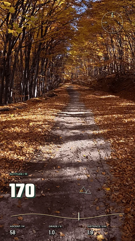 Trail Ridgeline, 9:16 layout preview