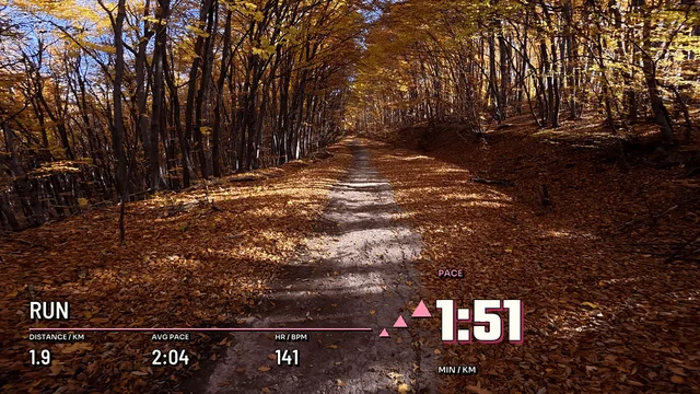 Running Flight, 16:9 layout preview